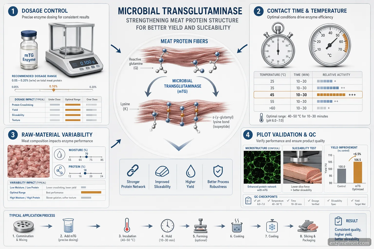 ميكروبيال transglutaminase في معالجة اللحوم يوضح الجرعة والزمن ودرجة الحرارة وفحوصات الجودة ونتائج التماسك