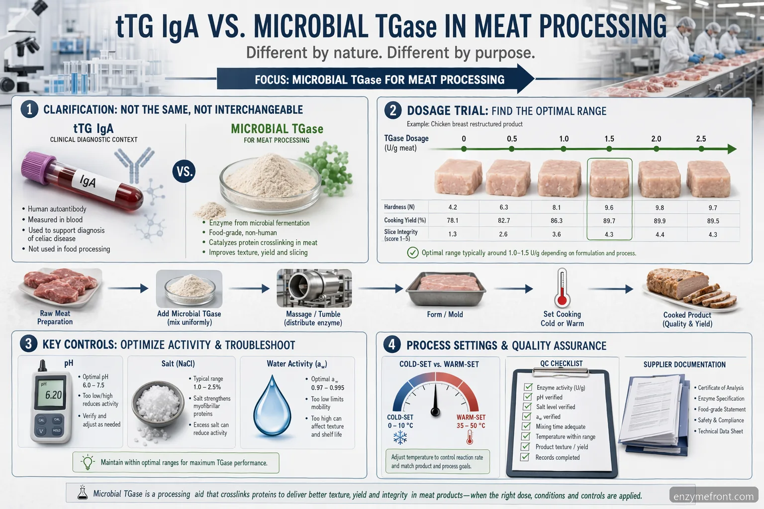guía de procesado de carne sobre tissue transglutaminase iga, con dosis, pH, temperatura, control de calidad y verificación de proveedor